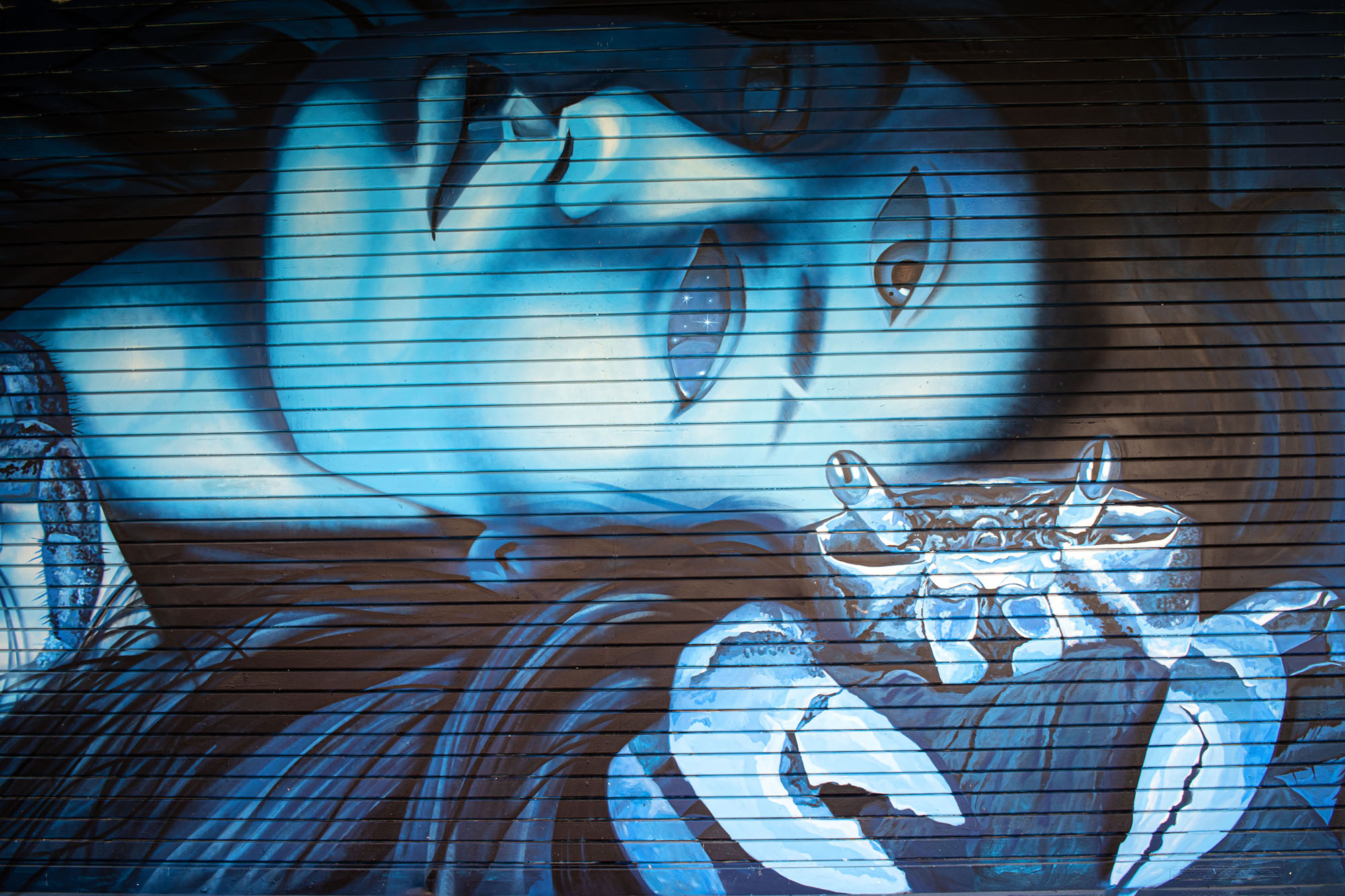 Paseo de Diego - Photo by Ramir Delgado (c) 2023.