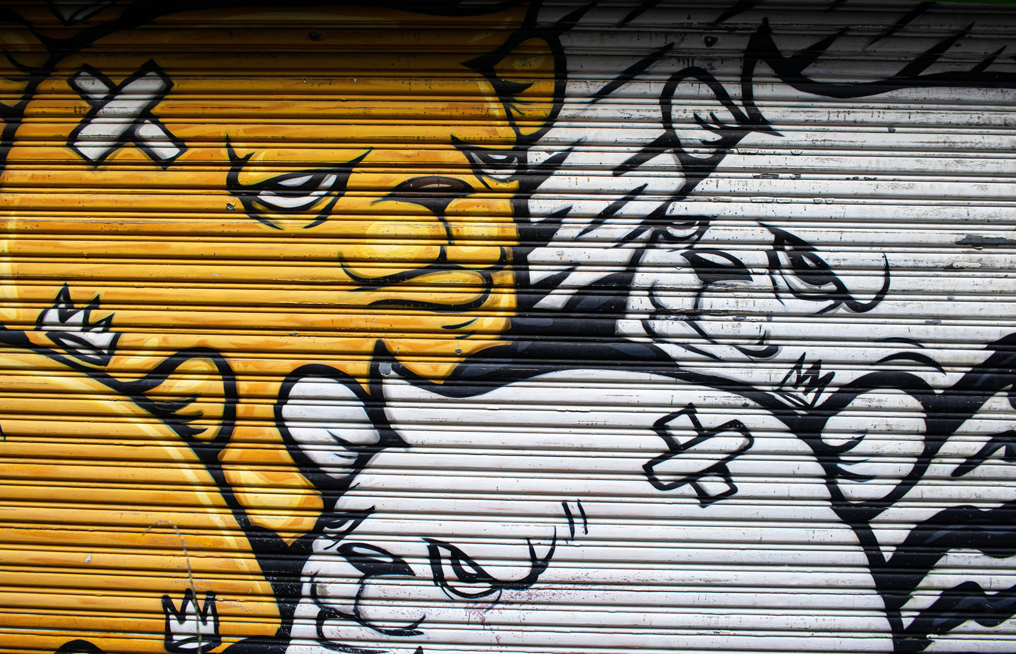 Paseo de Diego - Photo by Ramir Delgado (c) 2023.